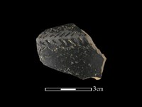 藏品(陶片)的圖片