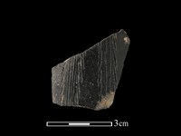 藏品(陶片)的圖片