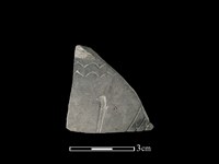 藏品(陶片)的圖片