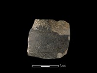 藏品(陶片)的圖片