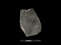 藏品(陶片)的圖片