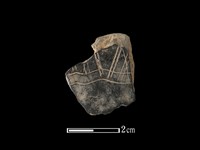 藏品(陶片)的圖片