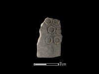 藏品(陶片)的圖片