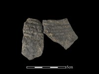 藏品(陶片)的圖片