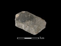 藏品(陶片)的圖片