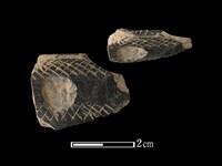 藏品(陶片)的圖片