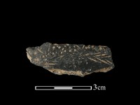 藏品(陶片)的圖片