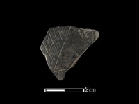 藏品(陶片)的圖片