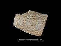 藏品(陶片)的圖片