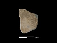 藏品(陶片)的圖片