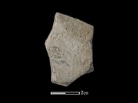 藏品(陶片)的圖片