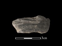 藏品(陶片)的圖片