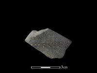 藏品(陶片)的圖片