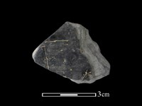 藏品(陶片)的圖片