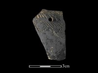 藏品(陶缽)的圖片