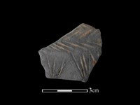 藏品(陶片)的圖片