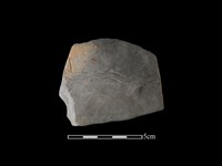 藏品(陶片)的圖片