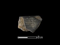 藏品(陶片)的圖片