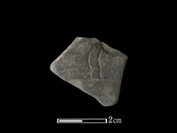 藏品(陶片)的圖片