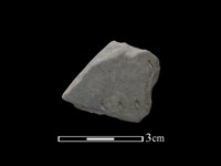 藏品(陶片)的圖片