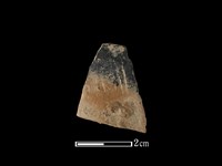 藏品(陶片)的圖片