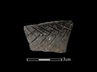 藏品(陶片)的圖片