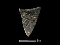 藏品(陶片)的圖片