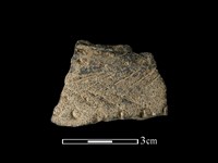 藏品(陶片)的圖片