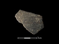 藏品(陶片)的圖片