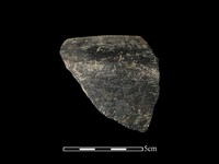 藏品(陶缽)的圖片