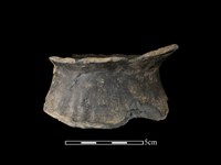 藏品(陶罐)的圖片