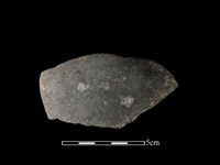 藏品(陶片)的圖片