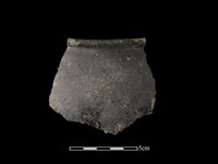 藏品(陶罐)的圖片