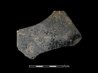 藏品(陶片)的圖片