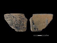 藏品(陶罐)的圖片