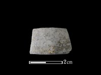 藏品(陶環)的圖片