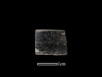 藏品(陶環)的圖片