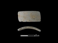 藏品(陶環)的圖片