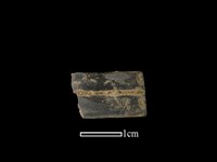 藏品(陶環)的圖片