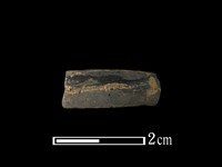 藏品(陶環)的圖片