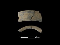 藏品(陶環)的圖片