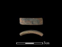 藏品(陶環)的圖片