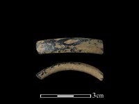 藏品(陶環)的圖片