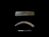 藏品(陶環)的圖片