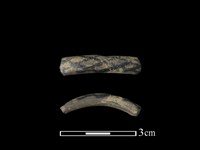 藏品(陶環)的圖片