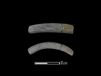 藏品(陶環)的圖片