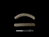 藏品(陶環)的圖片