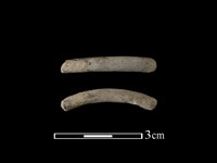 藏品(陶環)的圖片