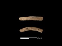 藏品(陶環)的圖片