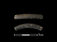 藏品(陶環)的圖片